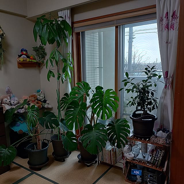 tabitubameさんの部屋