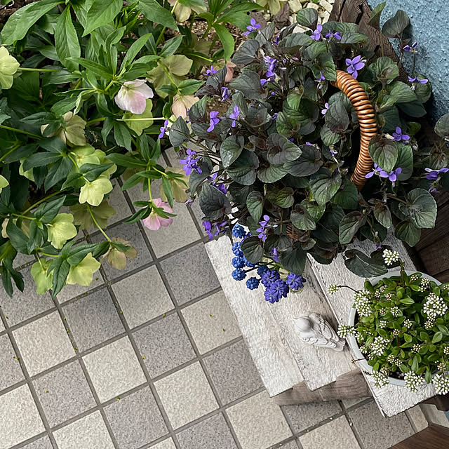 nobikoさんの部屋