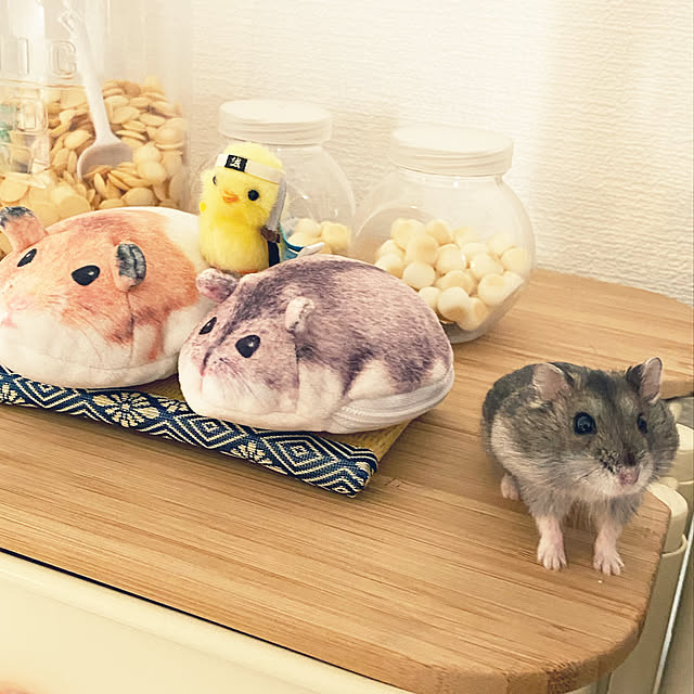 ohanaさんの実例写真