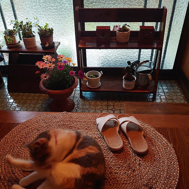fukuさんの実例写真