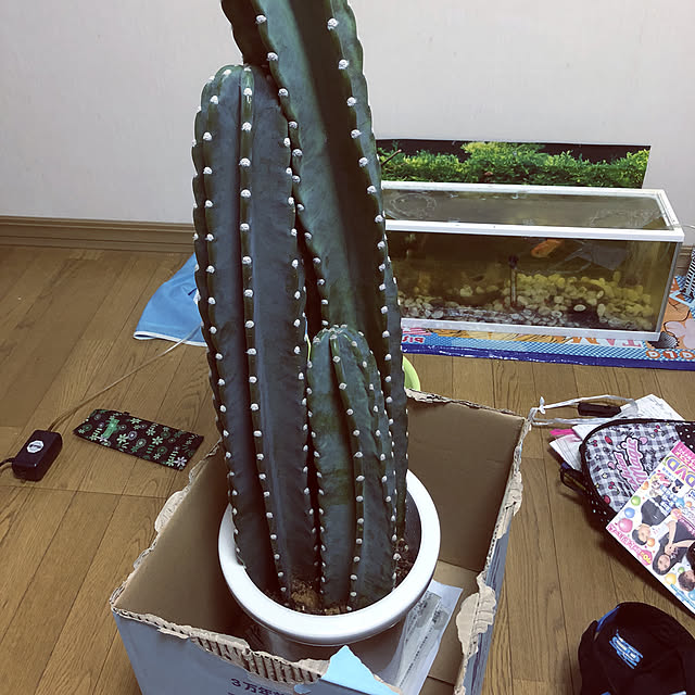 masanasiさんの実例写真