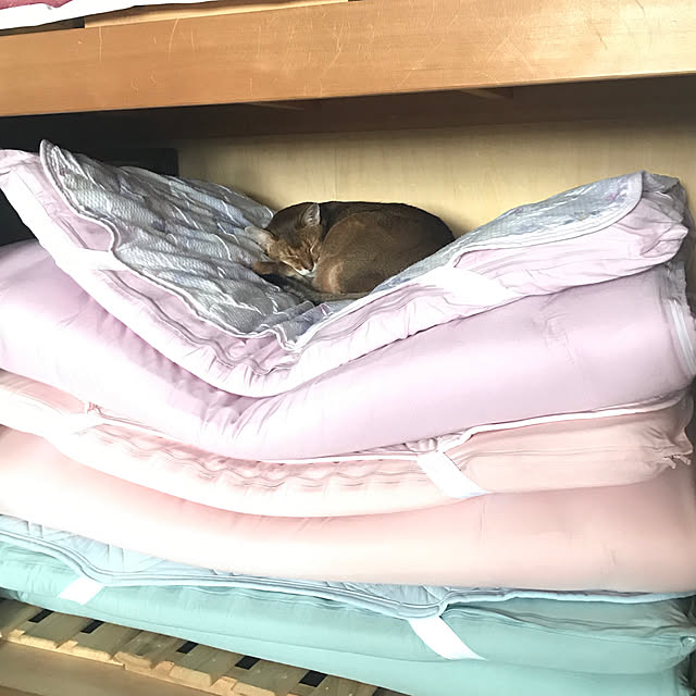 aby_nyanさんの実例写真