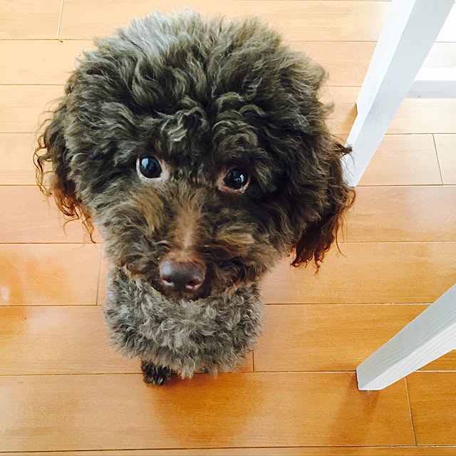 noelさんの実例写真