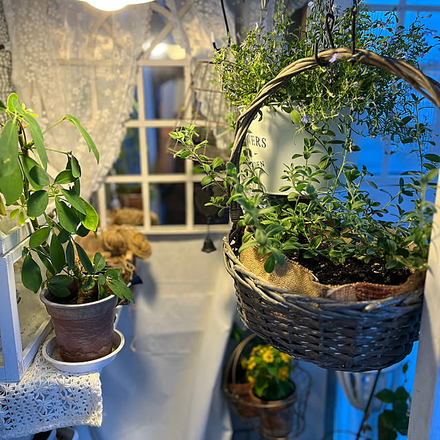 Atsukoさんの部屋