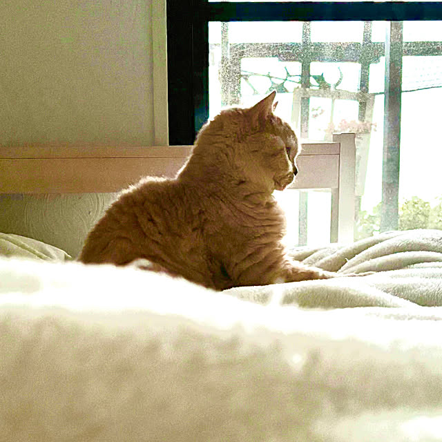 naokoさんの部屋