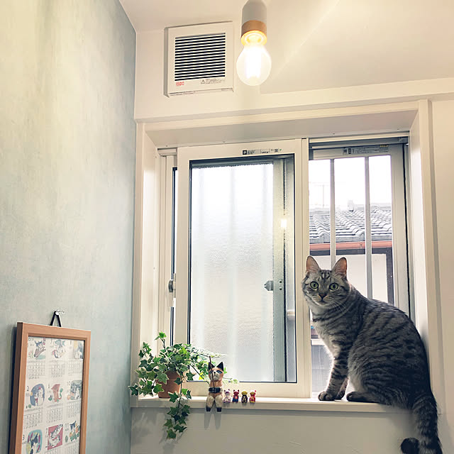 syrnuu946さんの実例写真