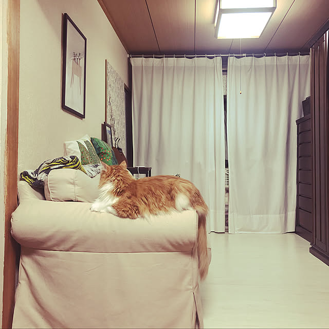 uchidaizuさんの実例写真