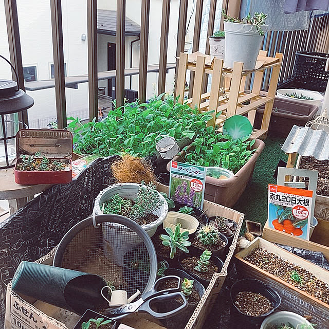 shoさんの実例写真
