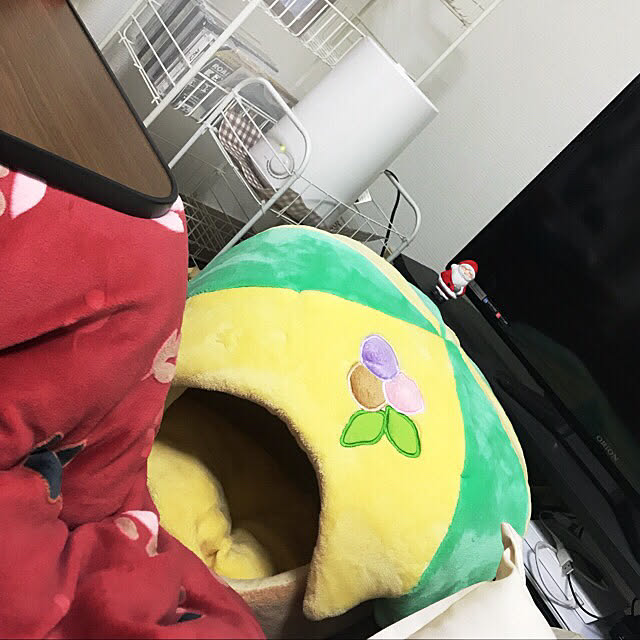 Ayaさんの実例写真