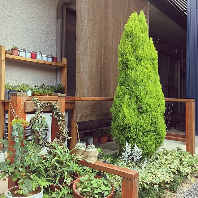 yokoymさんの実例写真
