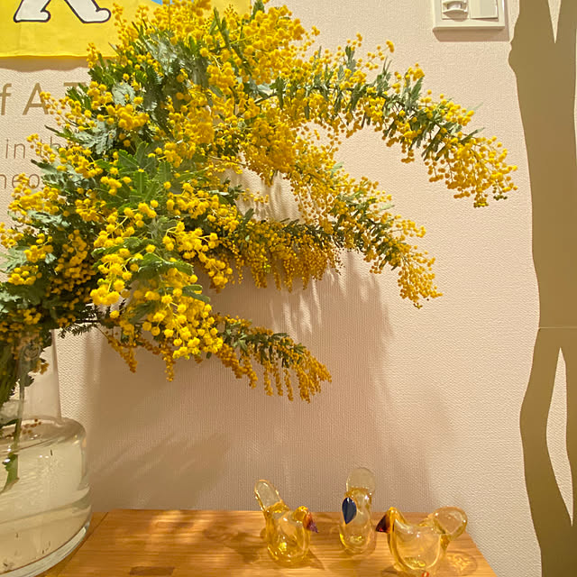 mugi1123さんの実例写真