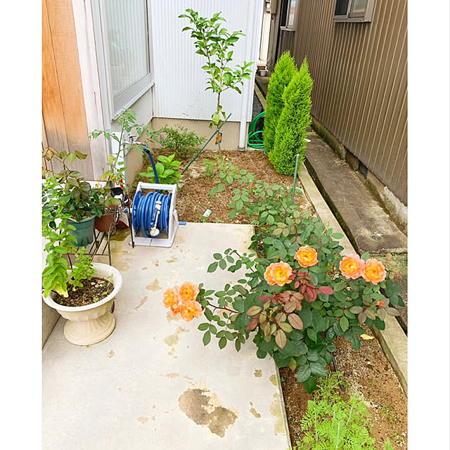 実例写真