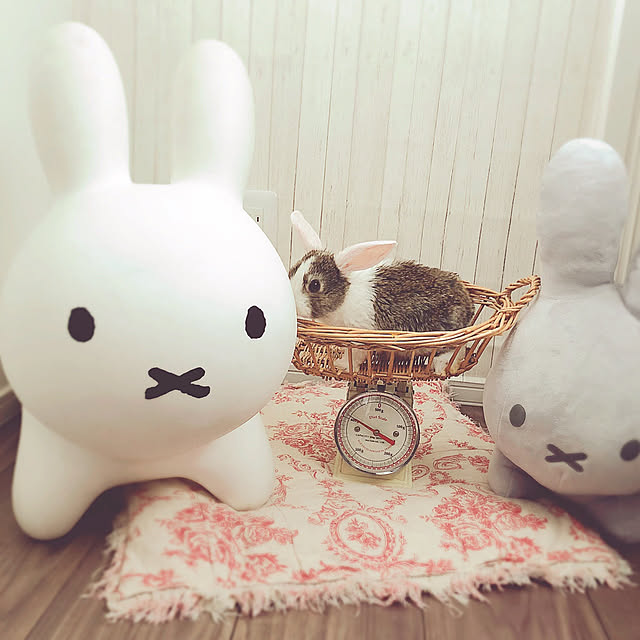 Hatsuneさんの実例写真