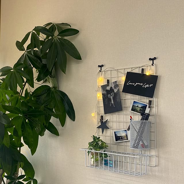 i-studioさんの実例写真