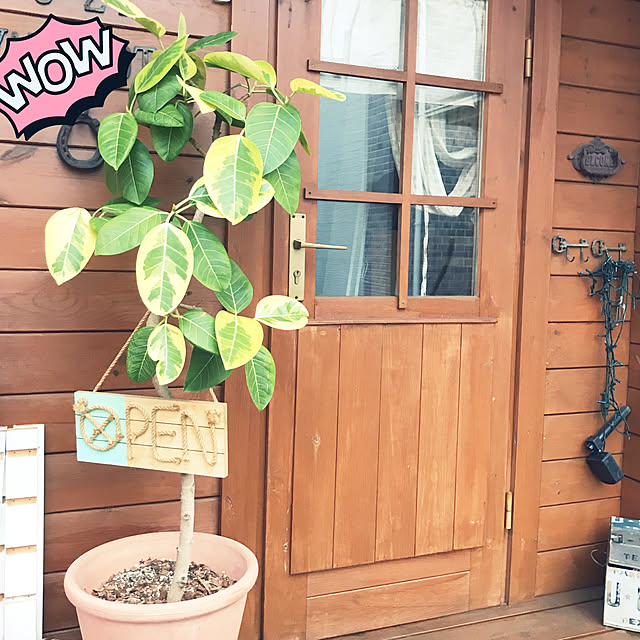 LEMONEDさんの実例写真