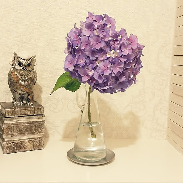 acoさんの実例写真