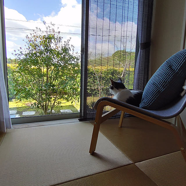 38catさんの実例写真