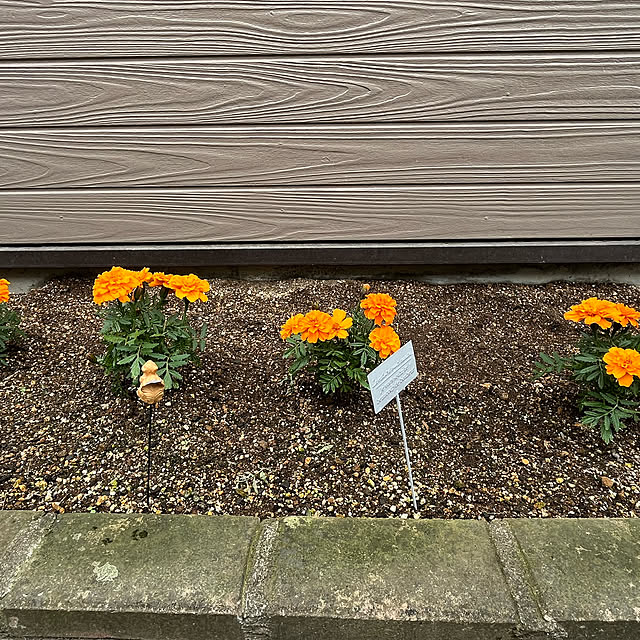 mogumoguさんの部屋