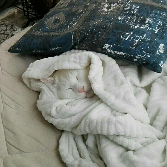 7tuさんの実例写真