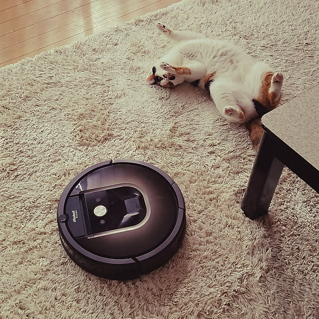 Kinanさんの実例写真