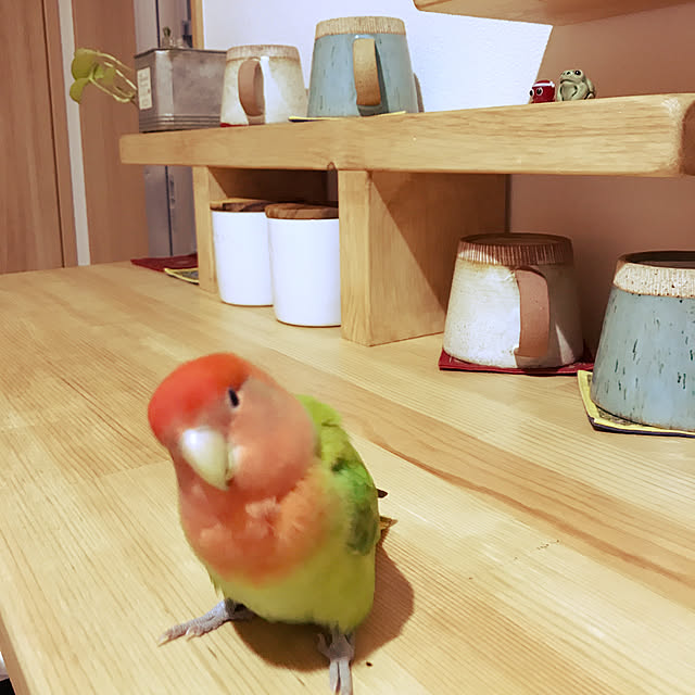 実例写真