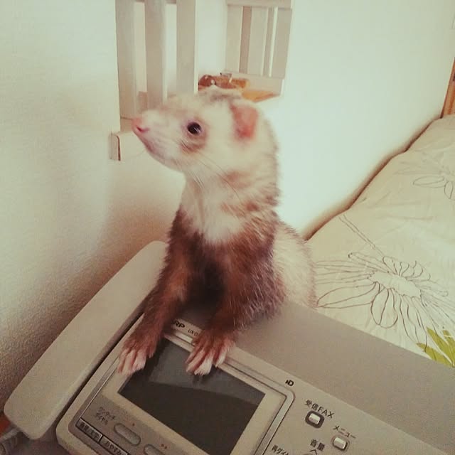 an89さんの実例写真