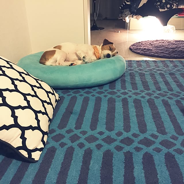 Makkkiiiさんの実例写真