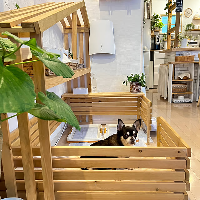 yumimaruさんの部屋