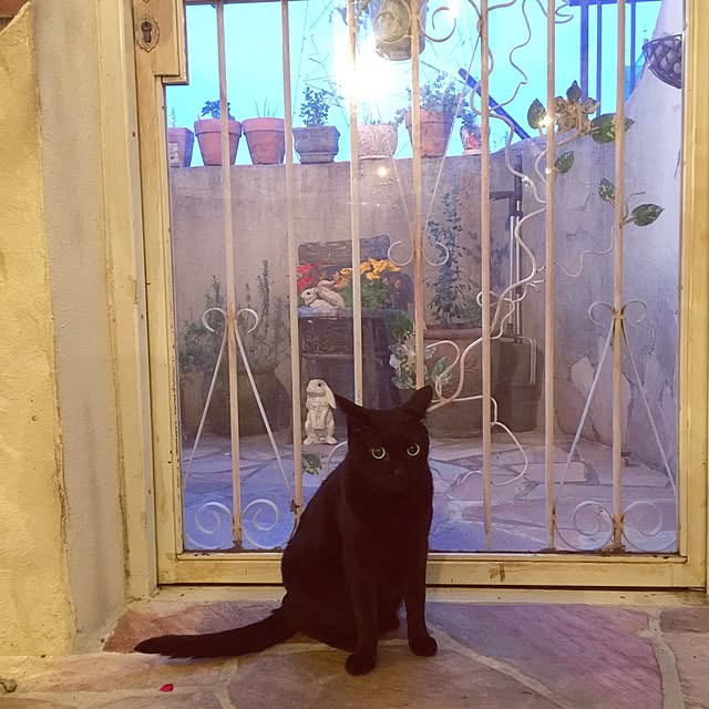 rosemaryさんの実例写真
