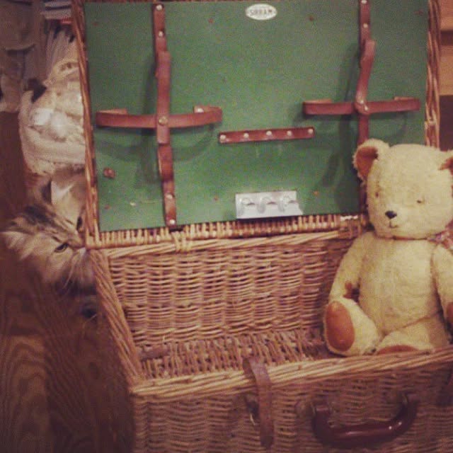 teddyさんの実例写真