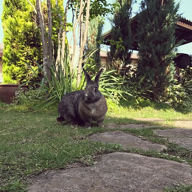 chuchuさんの実例写真