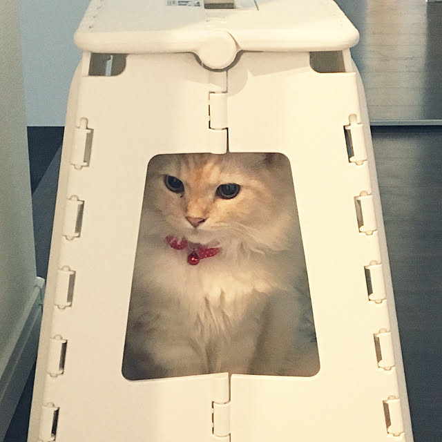 takiさんの実例写真
