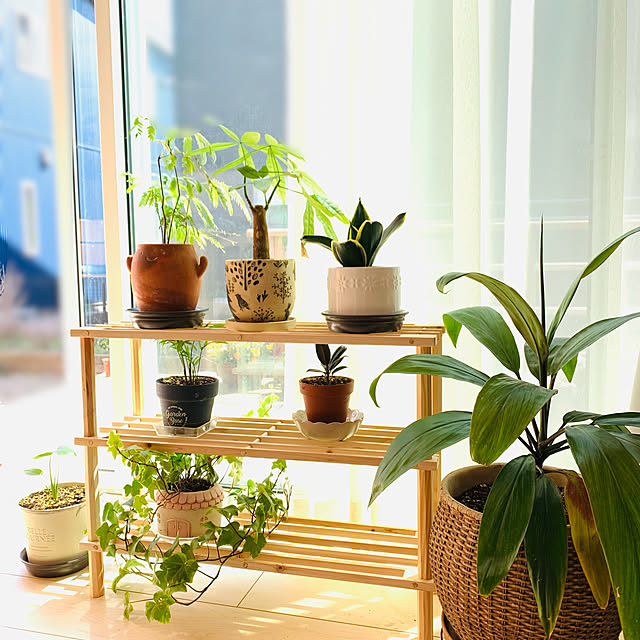 Tomokoさんの実例写真