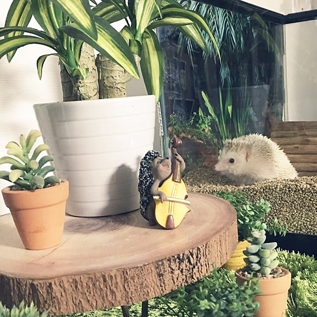 kenさんの実例写真