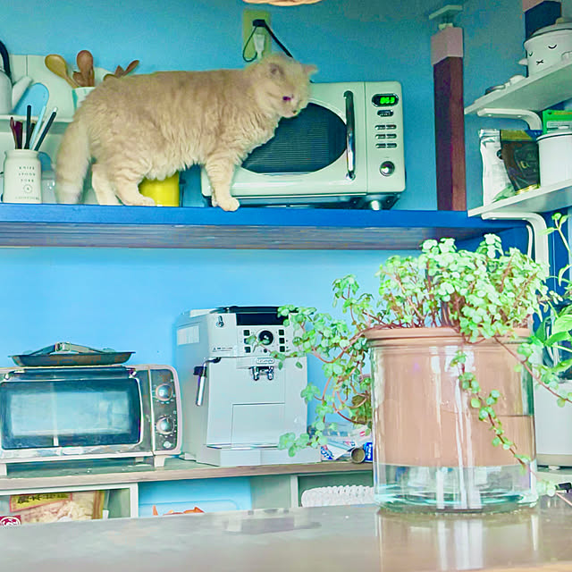 naokoさんの部屋