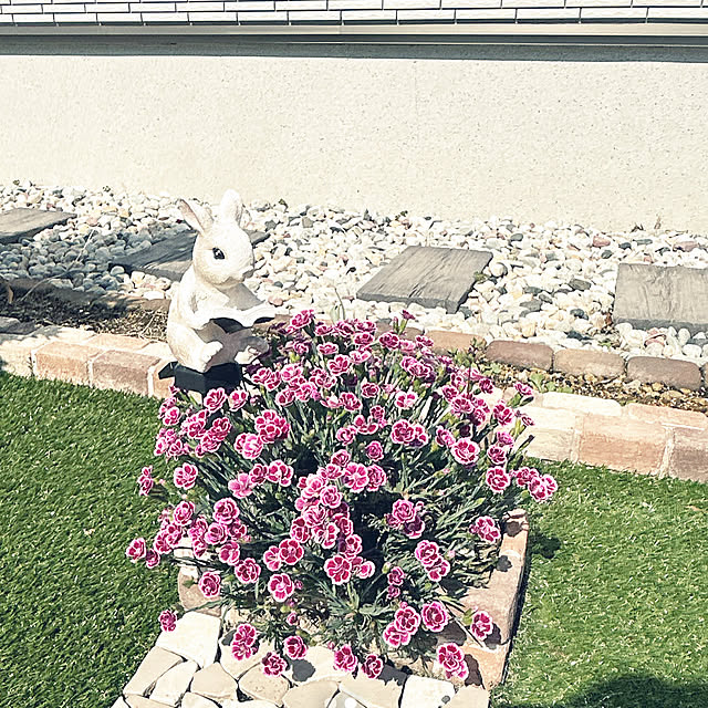 yunyumさんの部屋