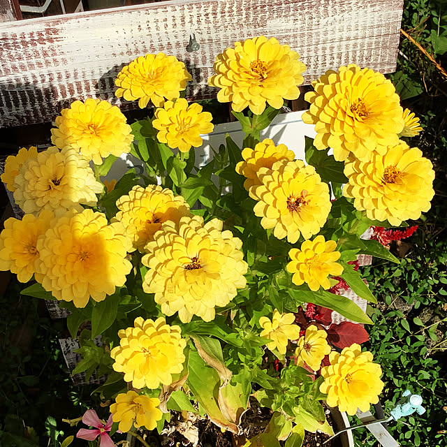 taeさんの部屋
