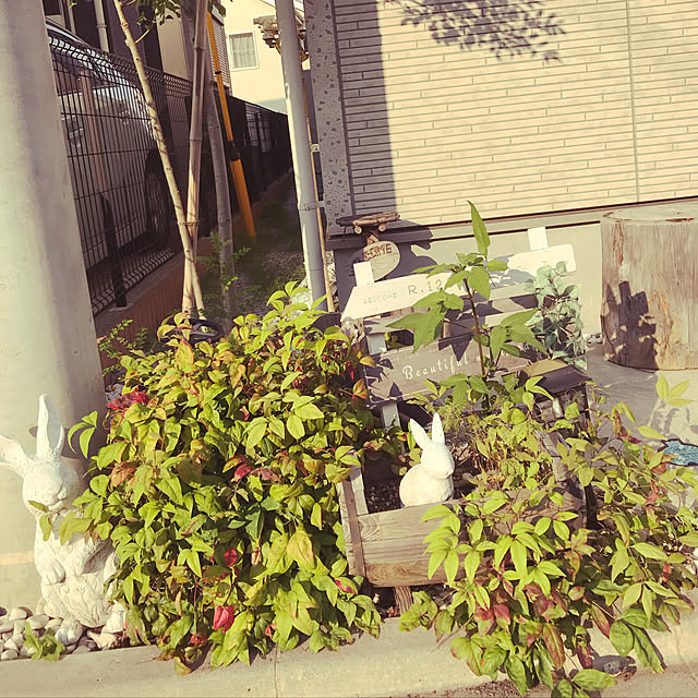 yuu0730さんの実例写真