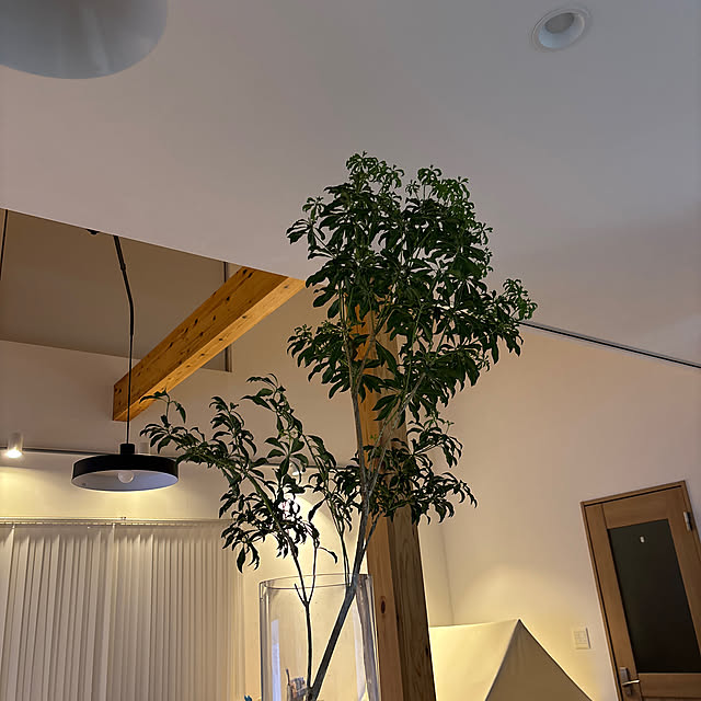 tsumutsumu1223さんの実例写真