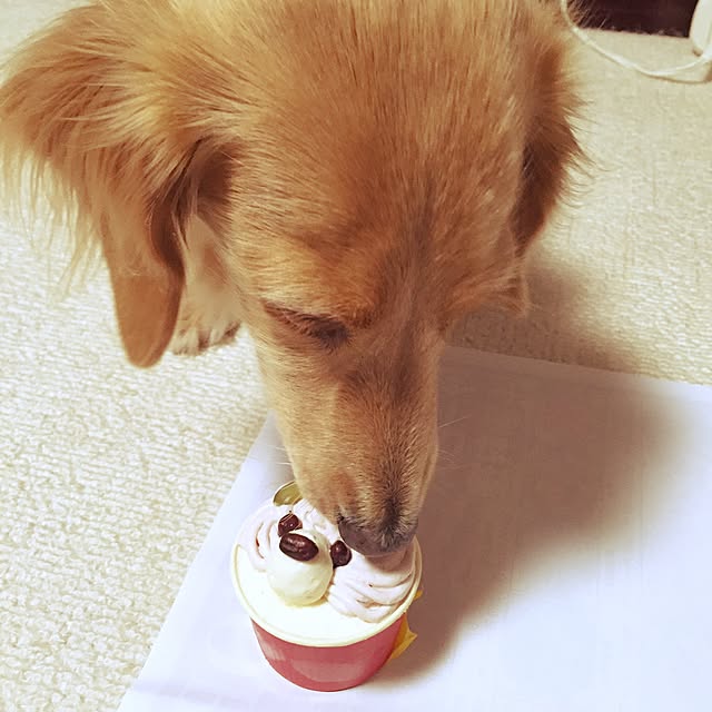 bibianさんの実例写真