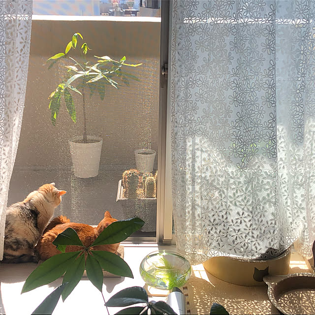 huriさんの実例写真
