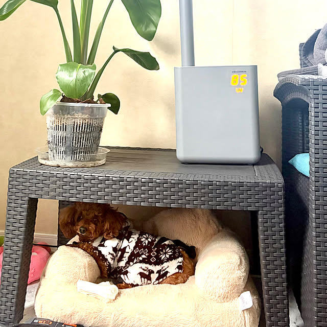 MOMOMAMAさんの実例写真