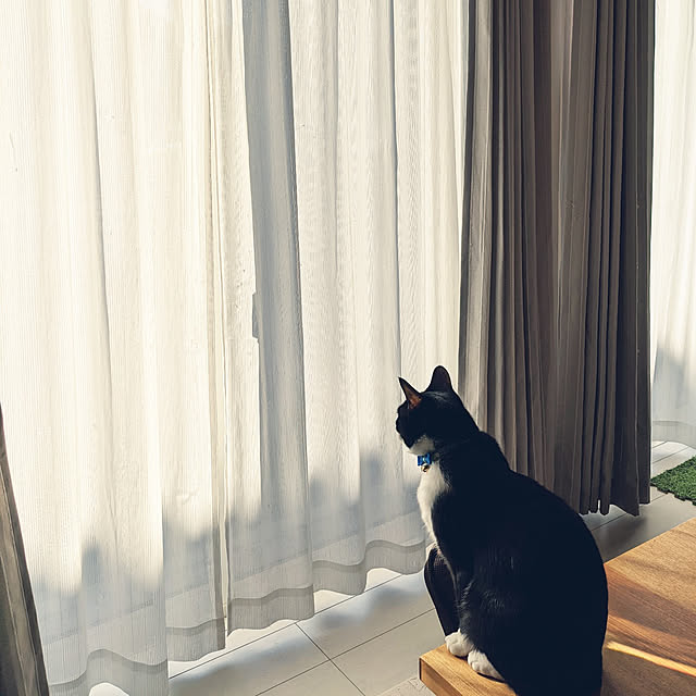 Helloさんの実例写真
