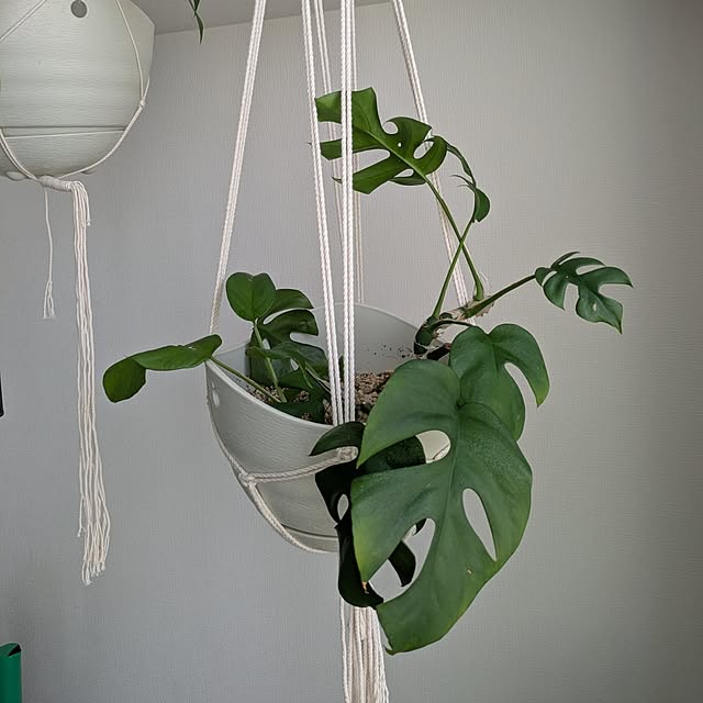 kolo92さんの部屋