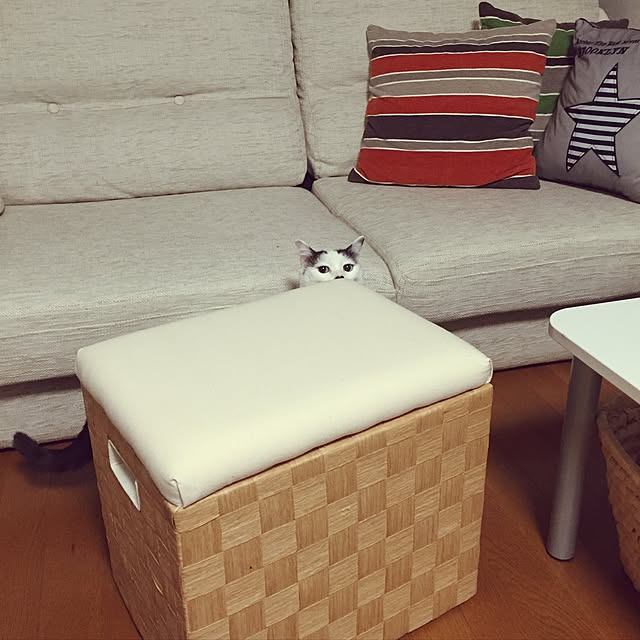 miiko3さんの実例写真