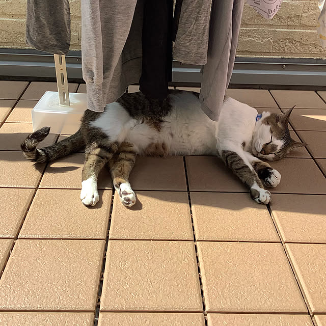 haruminさんの実例写真
