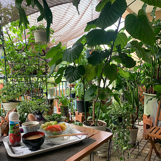 Aqettyさんの部屋