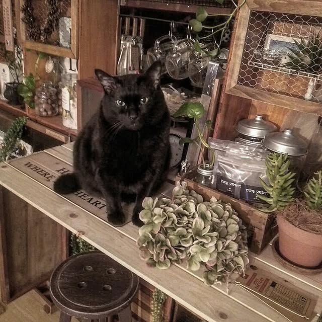 ugさんの実例写真