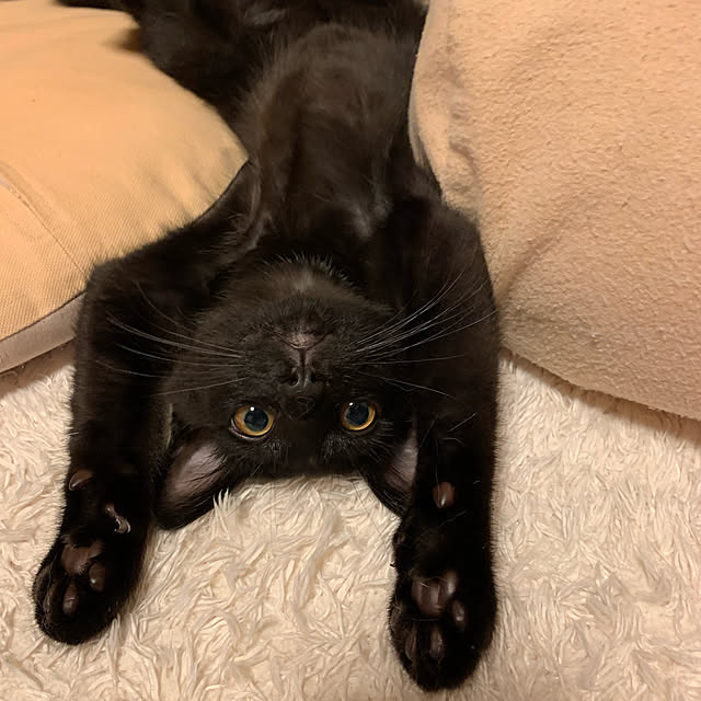 rioさんの実例写真
