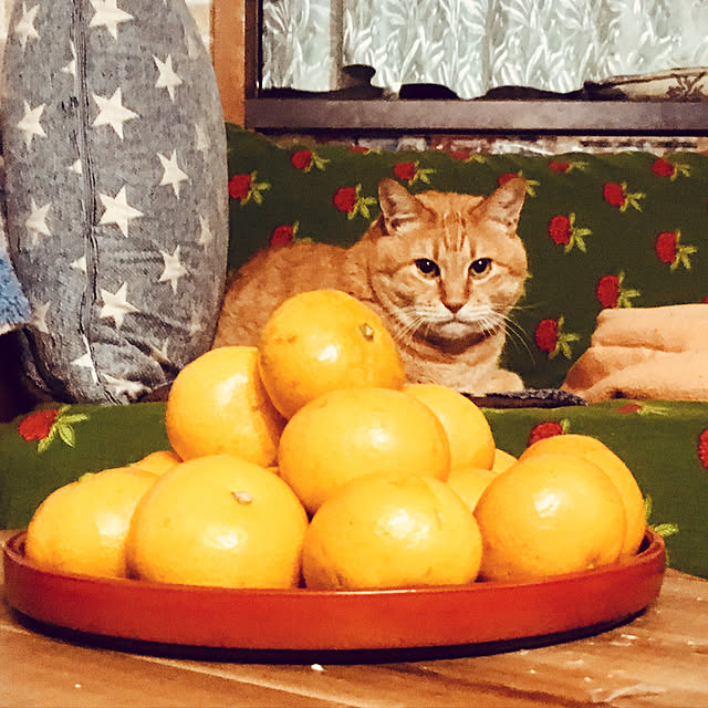 tututu0204さんの実例写真
